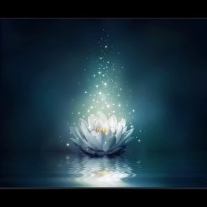 Meet your Posher, Neysha